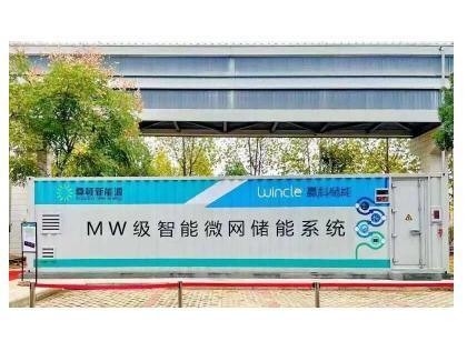 Sistemi di batterie di stoccaggio LiFePO4 40FT a 2mwh personalizzati per la micro rete delle isole